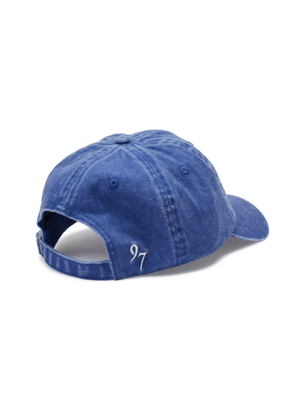 Script Logo Blue Cap
