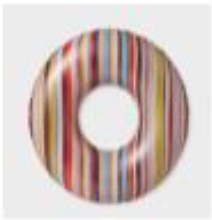 Ring Tube Float