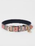 Dog Collar